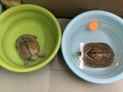 -永太盲人按摩(福田店)