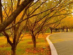 -苏州河梦清园环保主题公园