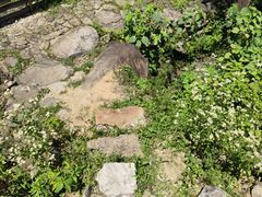 -MOJ coffee(瓯海泽雅水碓坑店)