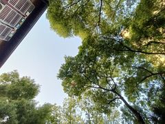 -飞马旅黎黄陂路文旅街区