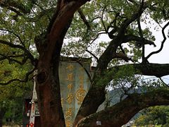 -上坦村