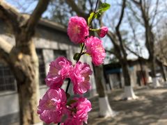 -陕西理工大学(北校区)