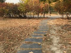 -北京麋鹿生态实验中心