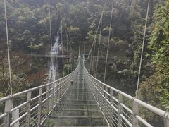 -九龙江国家森林公园