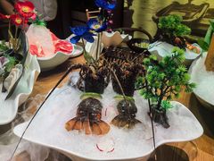 -尚海豆捞(乐虹坊店)