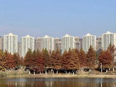 -洋湖国家湿地公园