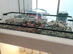 -比亚森自助烤肉料理(裕华店)