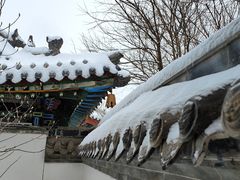 -迎泽公园