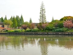 -高东镇樱花园