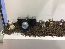 -非常六加一儿童摄影(同安店)