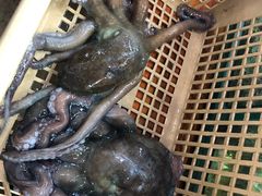 -班赞海鲜市场