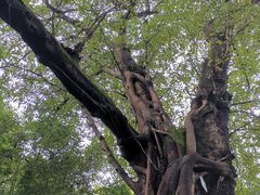 -成都杜甫草堂博物馆