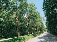 -上海海湾国家森林公园