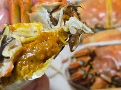 -黄记大闸蟹专卖店·活蟹·醉蟹