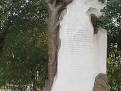 -大渡口区义渡公园