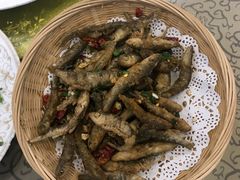 -悠悠美食