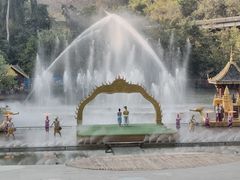 -西双版纳原始森林公园