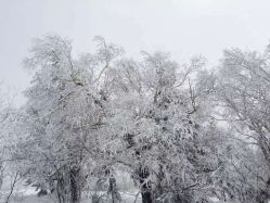 -大秃顶子山(雪谷店)