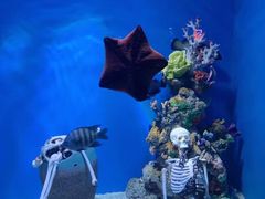 -上海海昌海洋公园