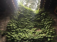 -湘子庙