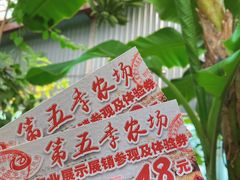 -第五季龙水凤港生态露营农场