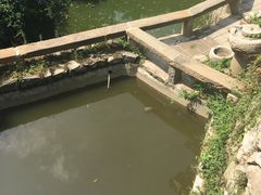 -沣峪森林公园龙潭戏水景区