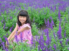 android_upload_pic-紫颐香薰山谷景区