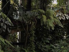 -昆明植物园
