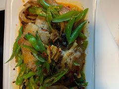 回锅肉-陈麻婆豆腐总店