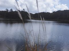 -海南热带雨林国家公园吊罗山景区