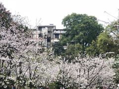 -南山植物园