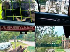 -郑州银基国际旅游度假区