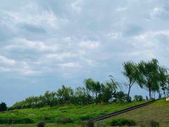 -洨河生态公园