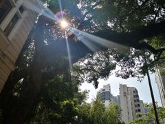 -香港大学