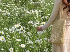 -汉长安城未央宫国家考古遗址公园