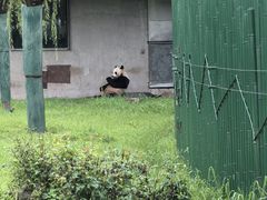 -沈阳森林动物园