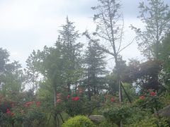 -丽江三义国际机场