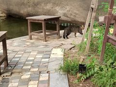 -酷鱼垂钓CLUB(朝阳区博大路店 )