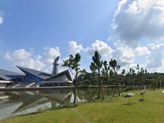 -盐城丹顶鹤湿地生态旅游区