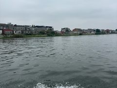 -洪湖生态旅游区