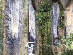 -西双版纳原始森林公园