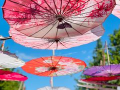 -野鸭湖国家湿地公园