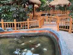 -南宫五洲植物乐园