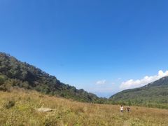 -白草畔自然风景区