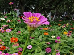 -元大都城垣遗址公园