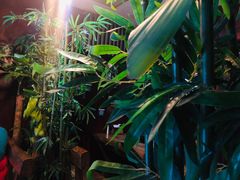 -万记麻辣烫国展总店