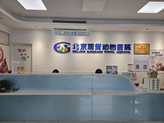 -北京观赏动物医院·24小时大型综合·猫专科·异宠专科