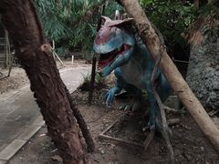-呀路古热带植物园