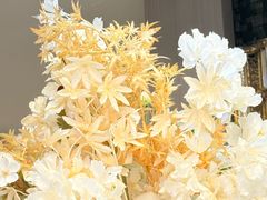 -卡尔顿东方银龙酒店•广西菜•早茶