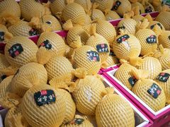 -鲜果壹号(旺墩店)